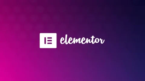 Elementor Pro