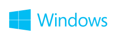 Microsoft Windows Key