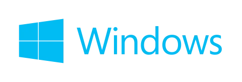 Microsoft Windows Key