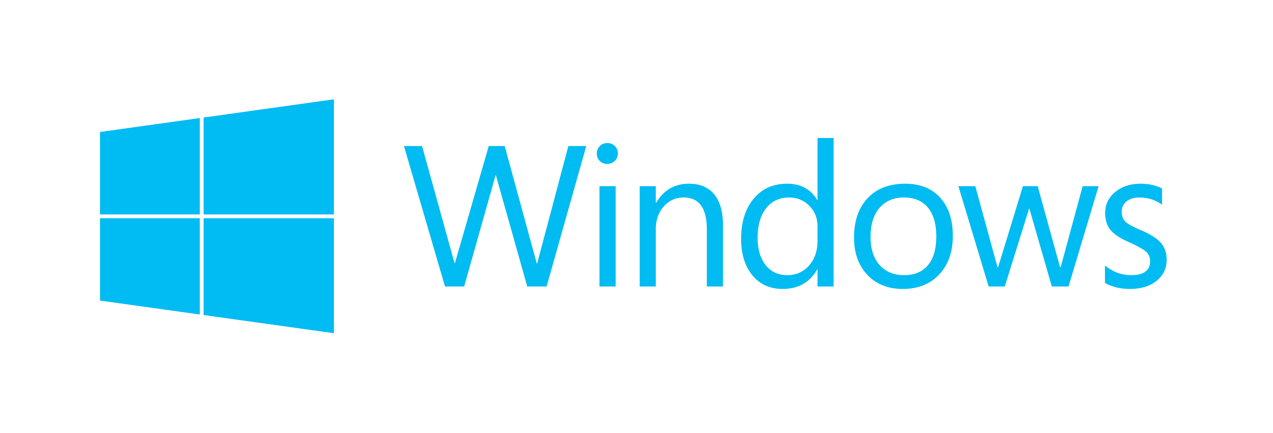 Microsoft Windows Key